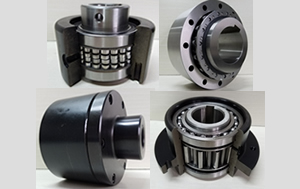 Anfan precision bearing assemblies
